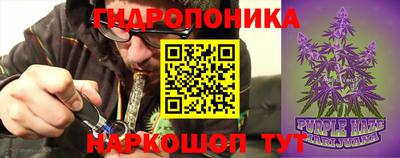 гашик Севастополь