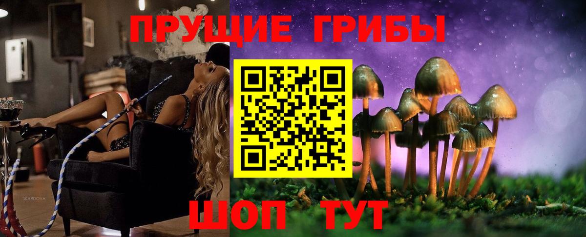 Приморско-Ахтарск  Галлюциногенные грибы GOLDEN TEACHER  Вход с VPN 